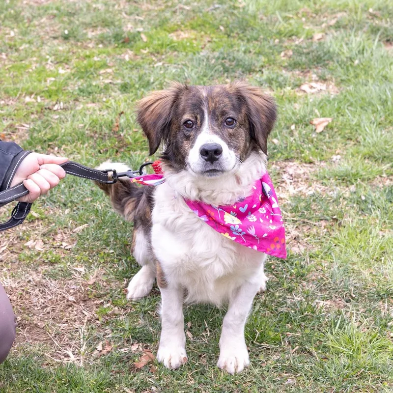 Savannahavail thumbnail 3