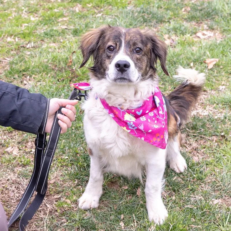 Savannahavail thumbnail 4