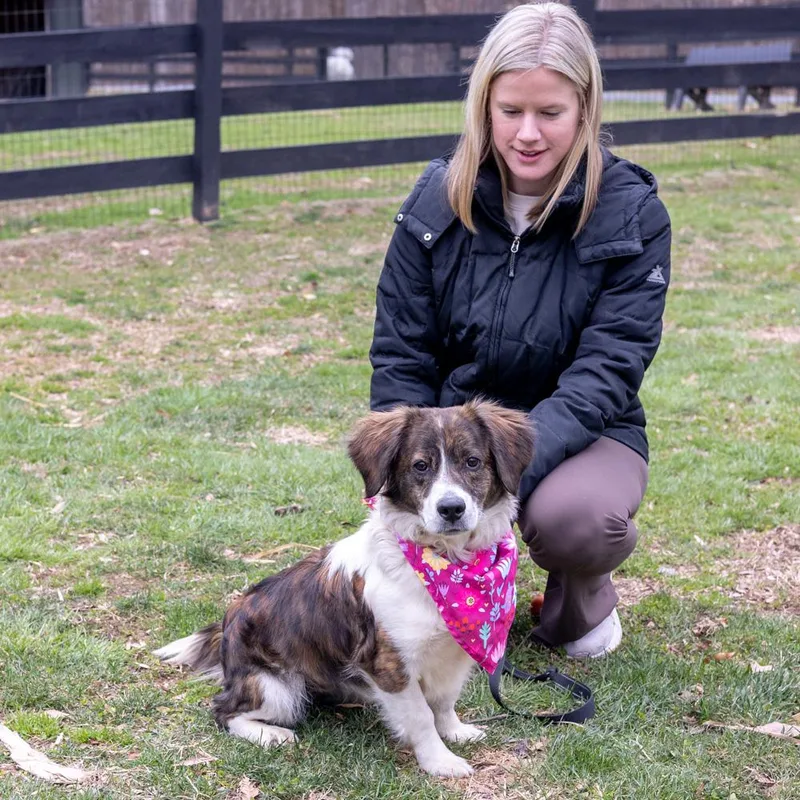 Savannahavail thumbnail 6