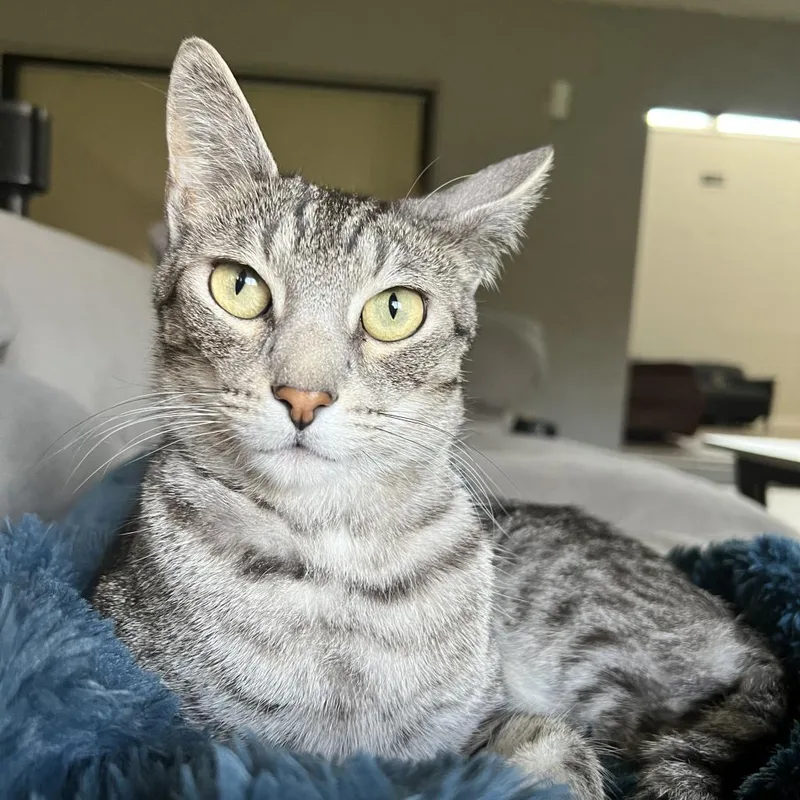 Truman And Tyndall thumbnail 2