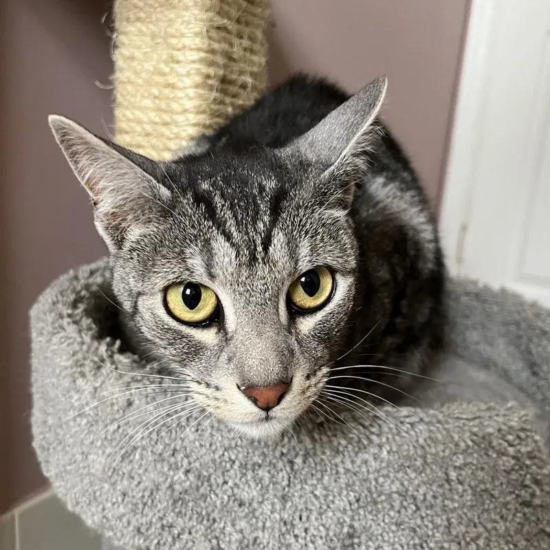 Truman And Tyndall thumbnail 4