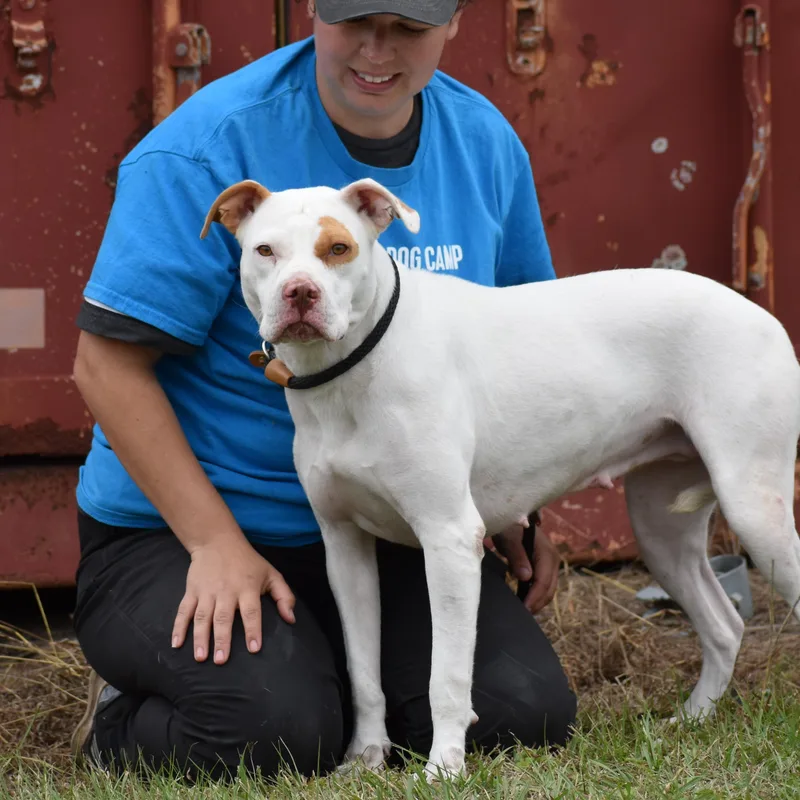 Kyra Milligan thumbnail 3