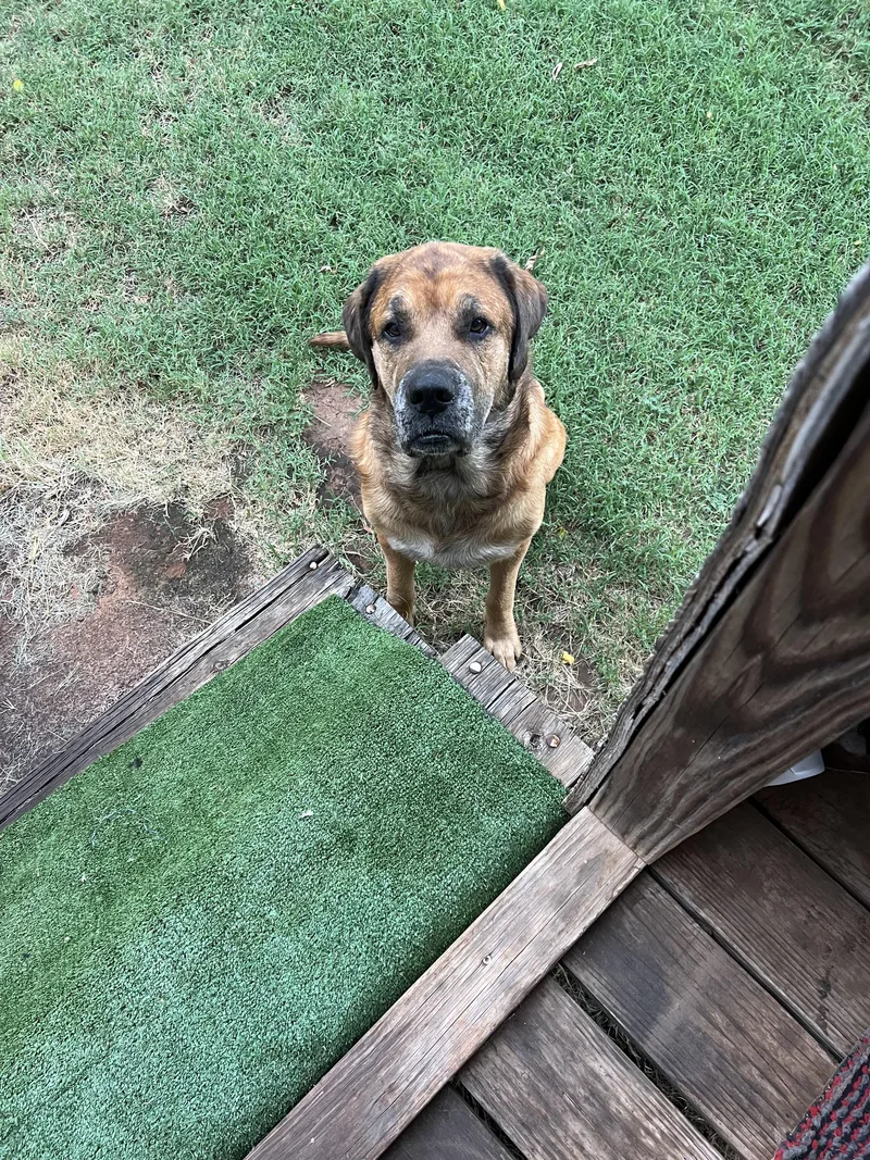 Duke