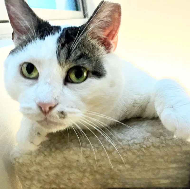 Charlie thumbnail 6