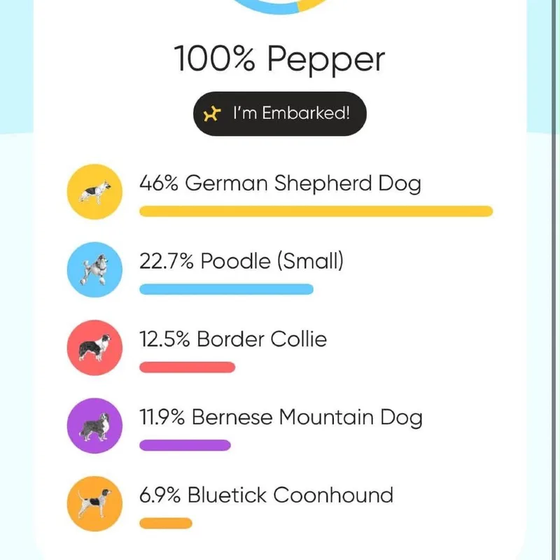 Peppercorn"Pepper" thumbnail 4