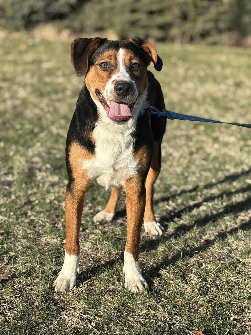 Day Day  Gatsby thumbnail 2