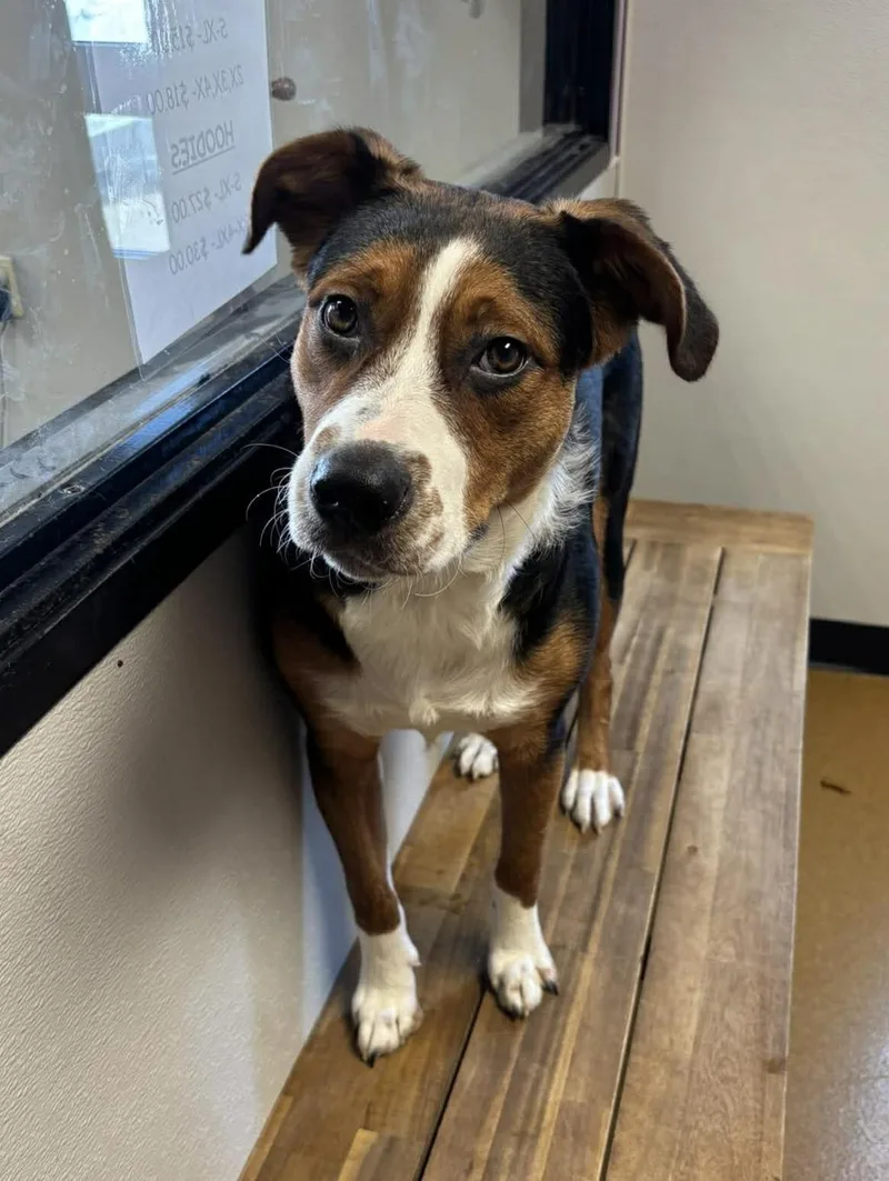 Day Day  Gatsby thumbnail 3