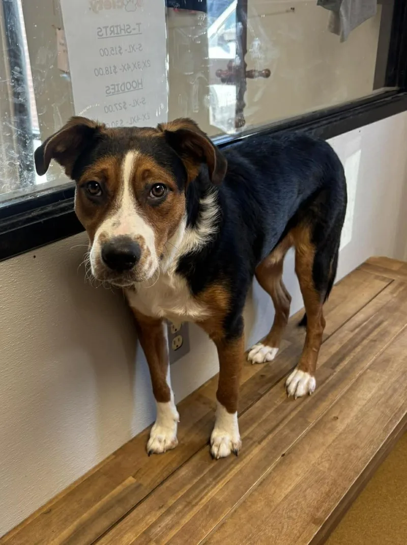 Day Day  Gatsby thumbnail 4