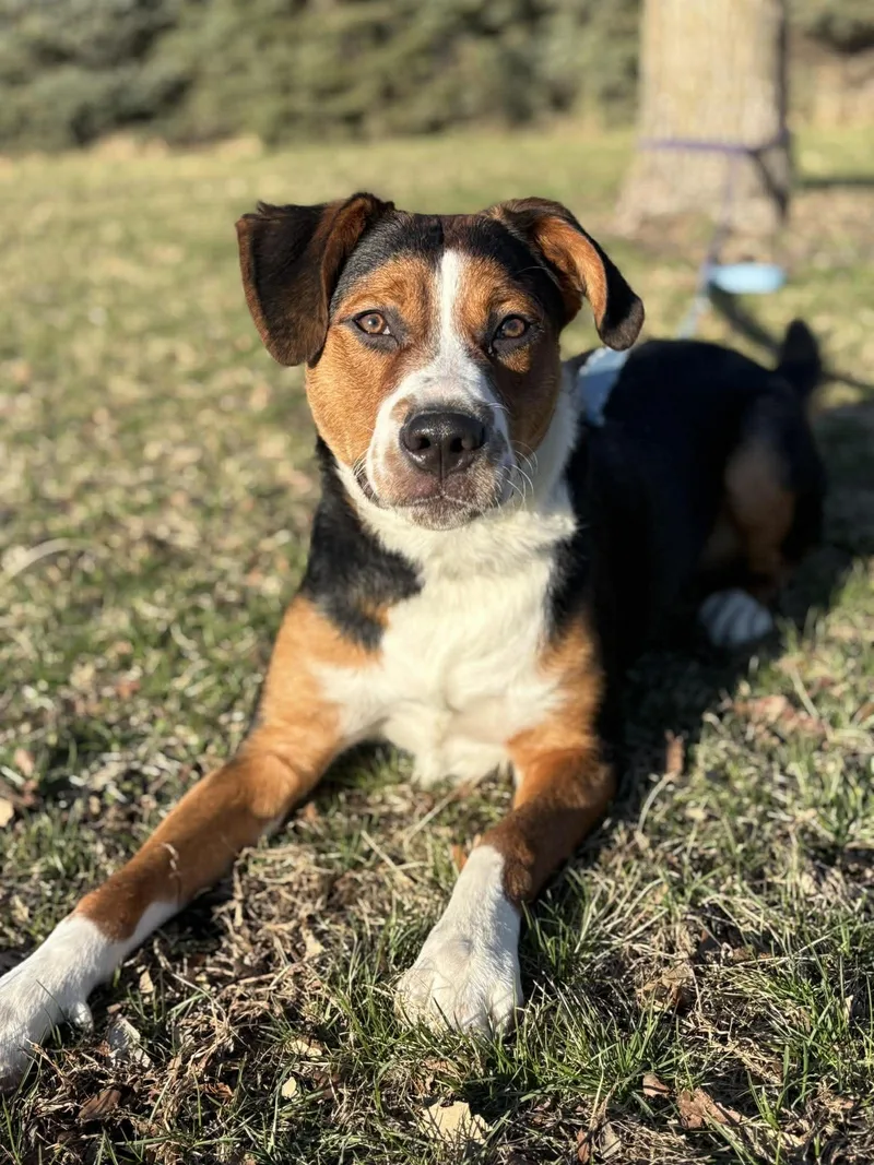 Day Day  Gatsby thumbnail 5