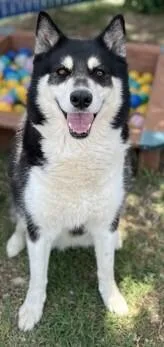 Luna Belle thumbnail 2