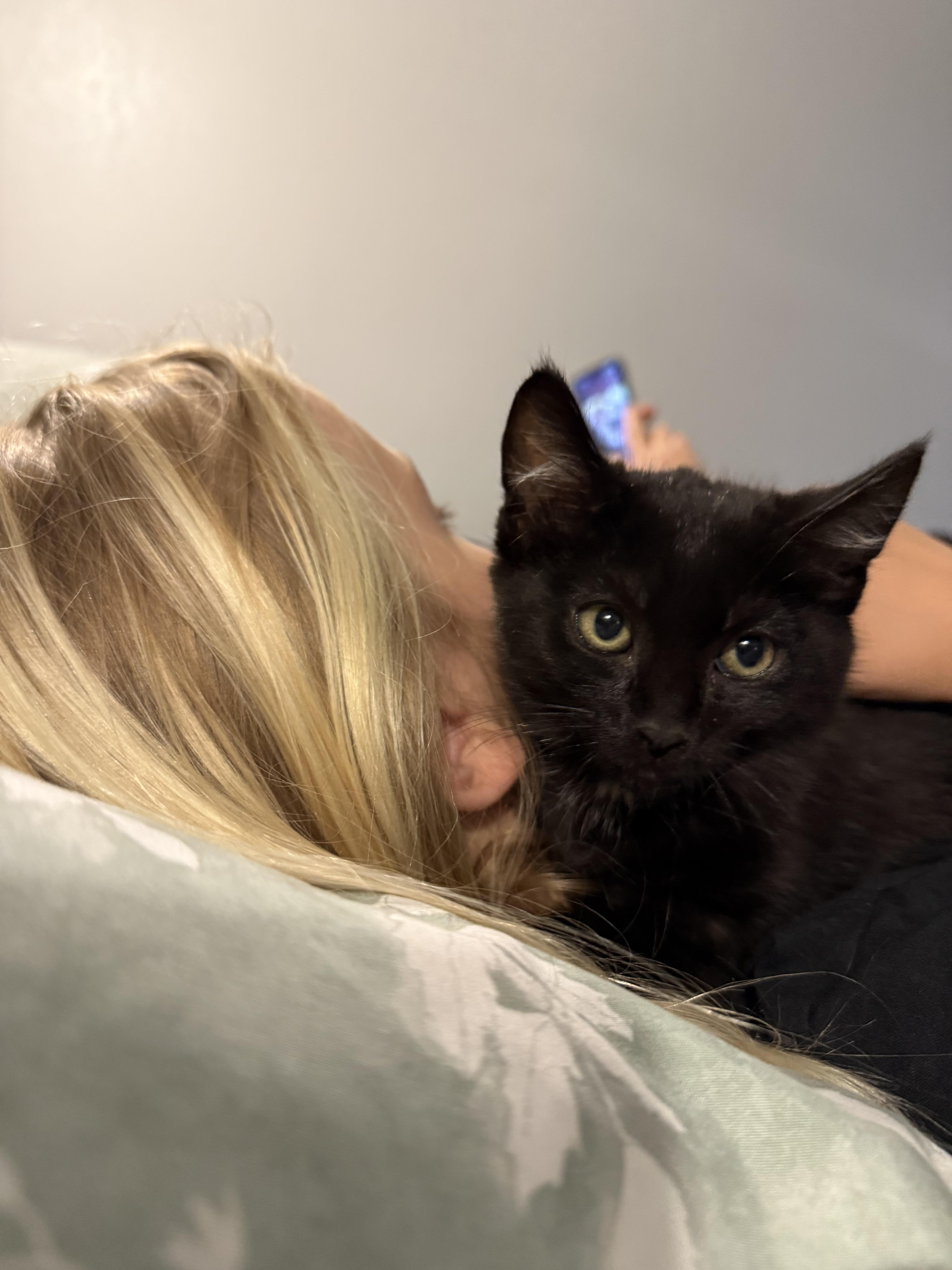 Jalapeño thumbnail 3