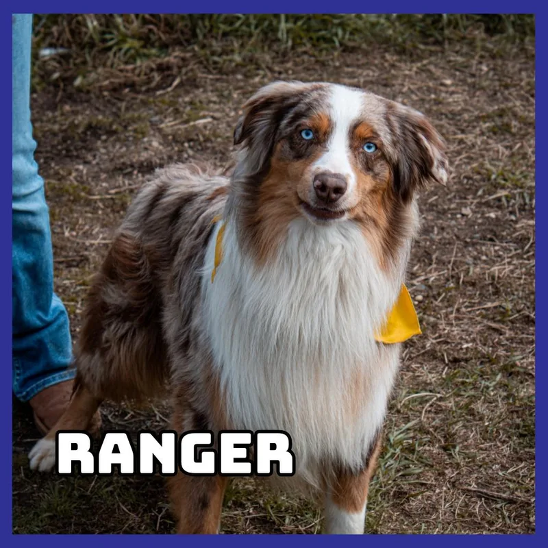 Ranger thumbnail 2