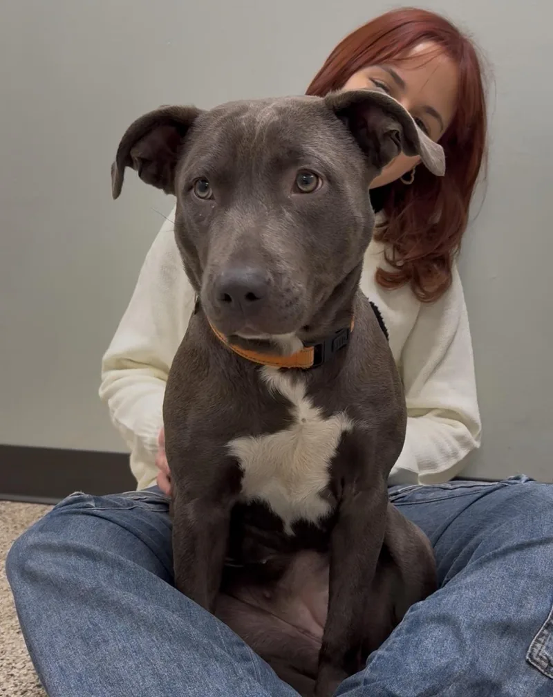 Betty Boop thumbnail 4