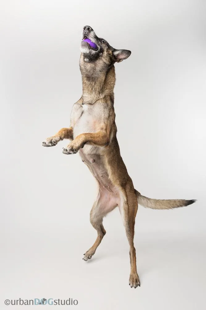 Maggie May  Located thumbnail 5