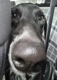 Hendricks thumbnail 2