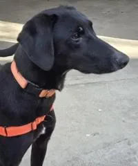 Hendricks thumbnail 3