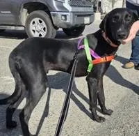 Hendricks thumbnail 4