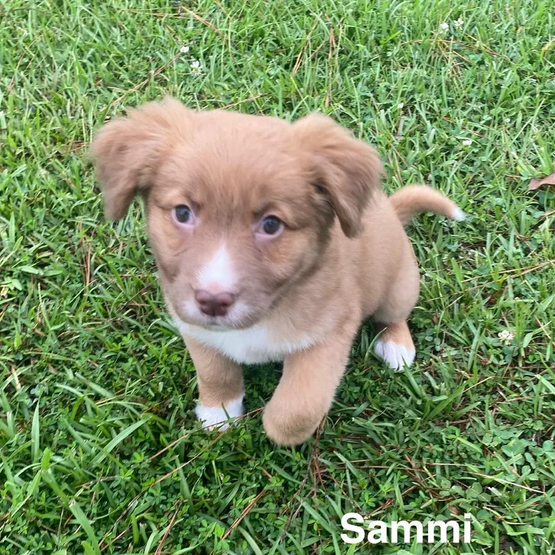 Sammi thumbnail 4
