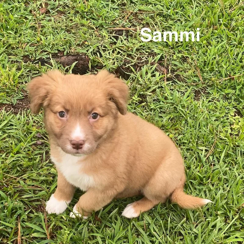Sammi thumbnail 5