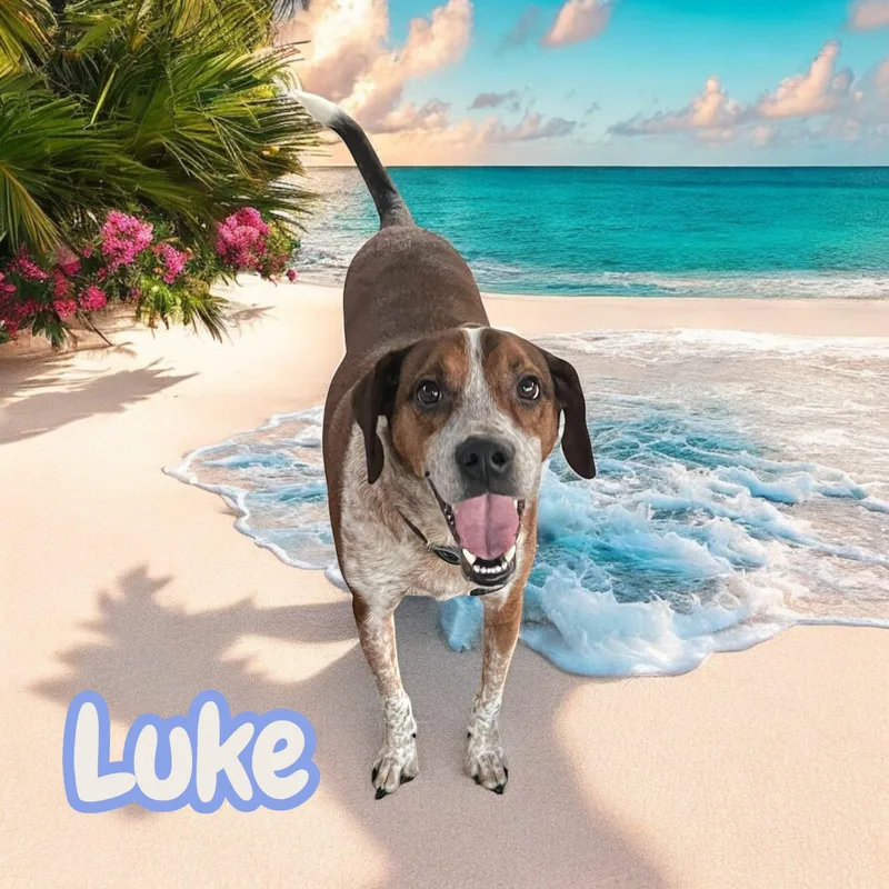 Luke  Md thumbnail 2