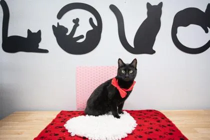 Mystique thumbnail 3