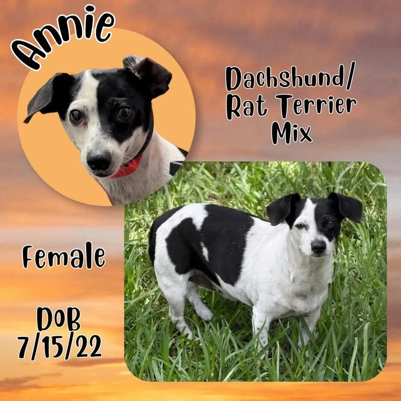 Annie