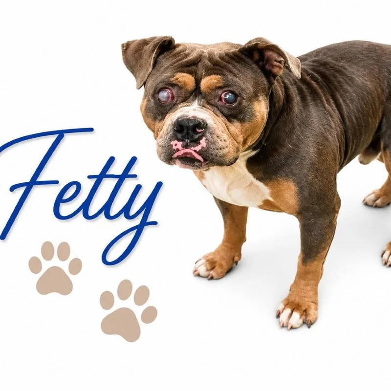 Fetty thumbnail 2
