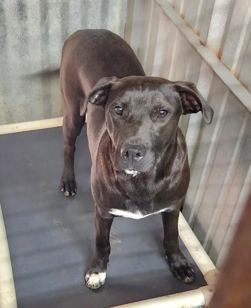 Specka Aka Runty thumbnail 3