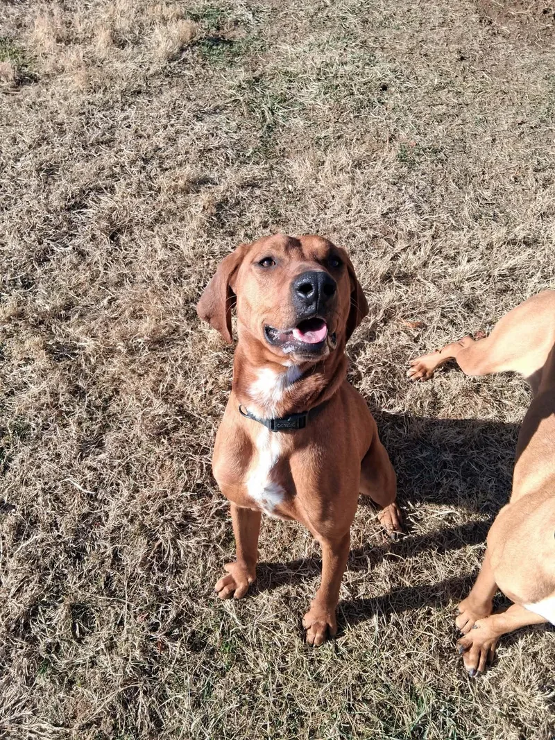 Bobby And Luanne thumbnail 2