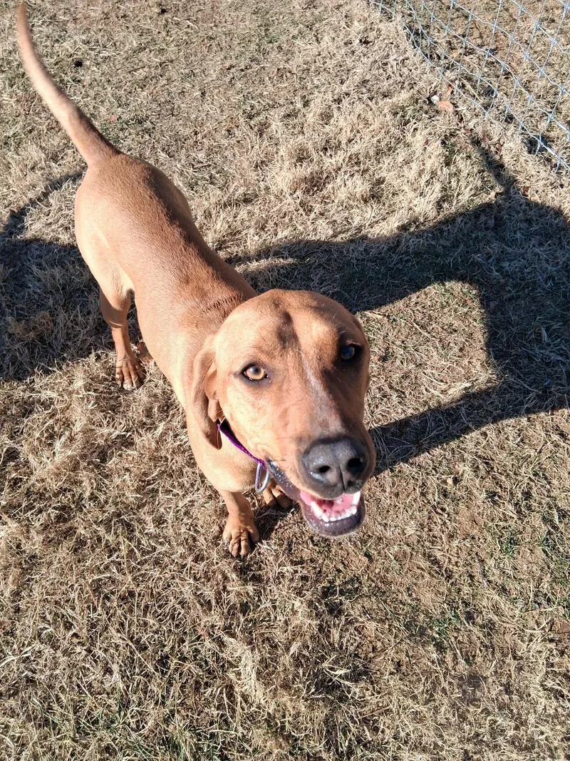 Bobby And Luanne thumbnail 3