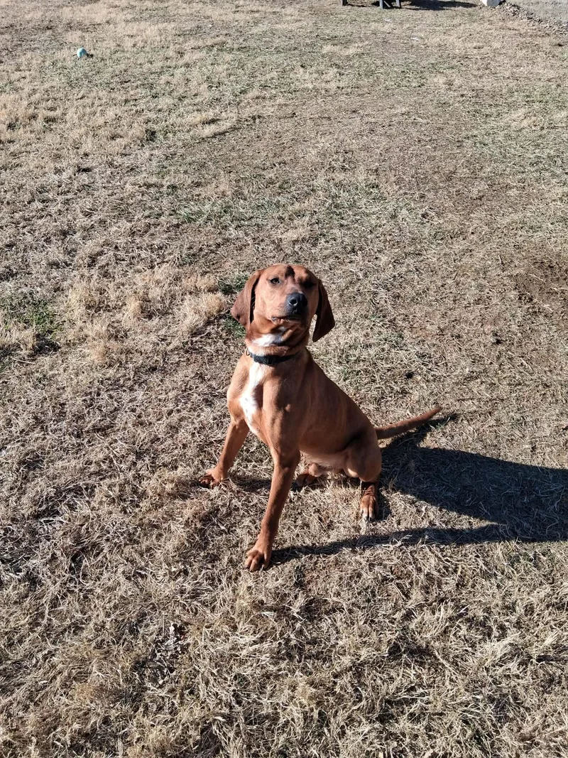 Bobby And Luanne thumbnail 4