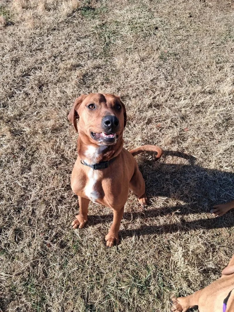 Bobby And Luanne thumbnail 5