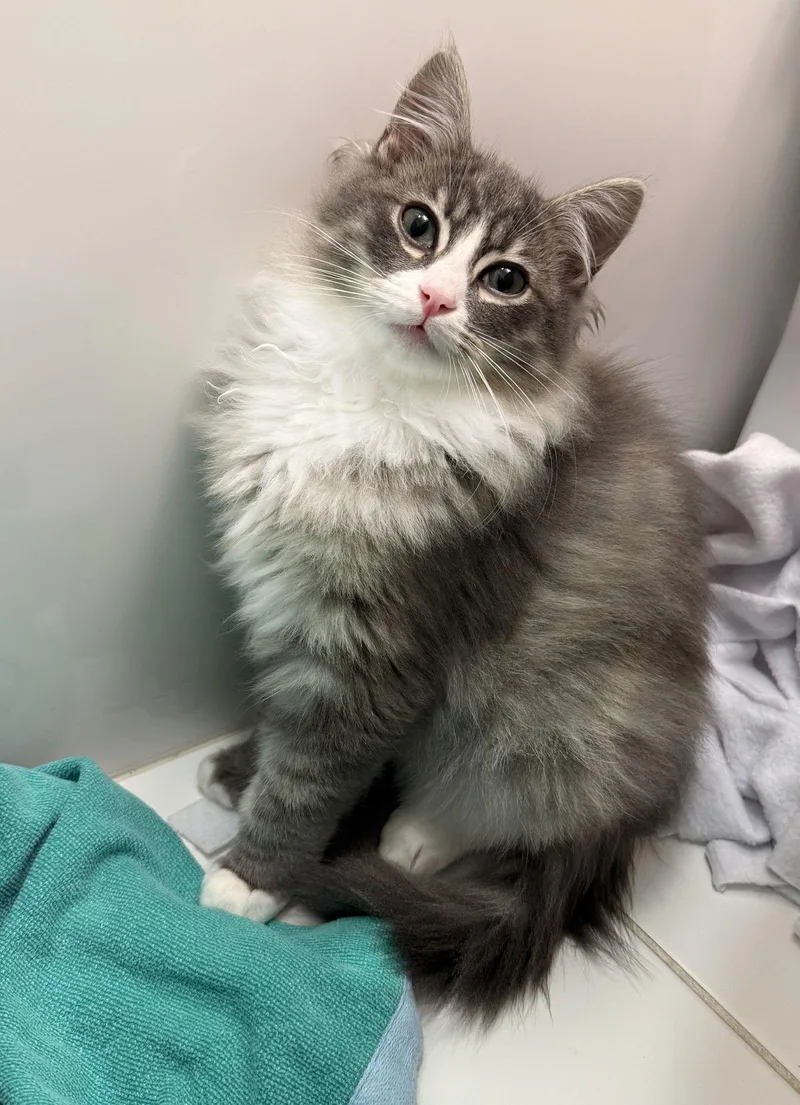 Earl And Mateo thumbnail 2