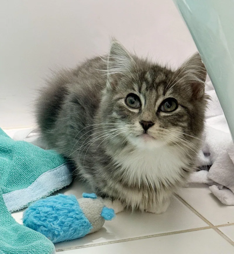 Earl And Mateo thumbnail 3