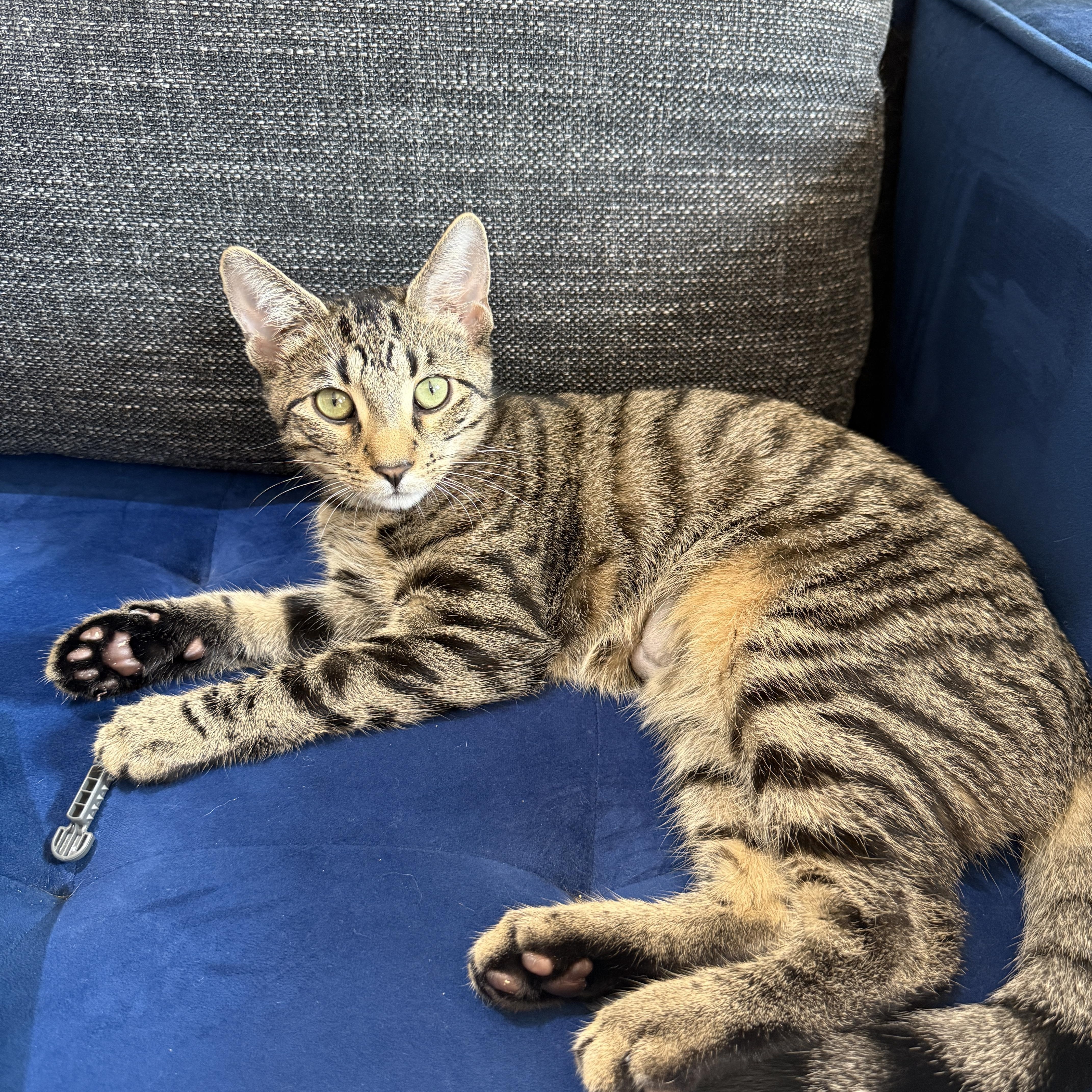 Curley And Larry thumbnail 2