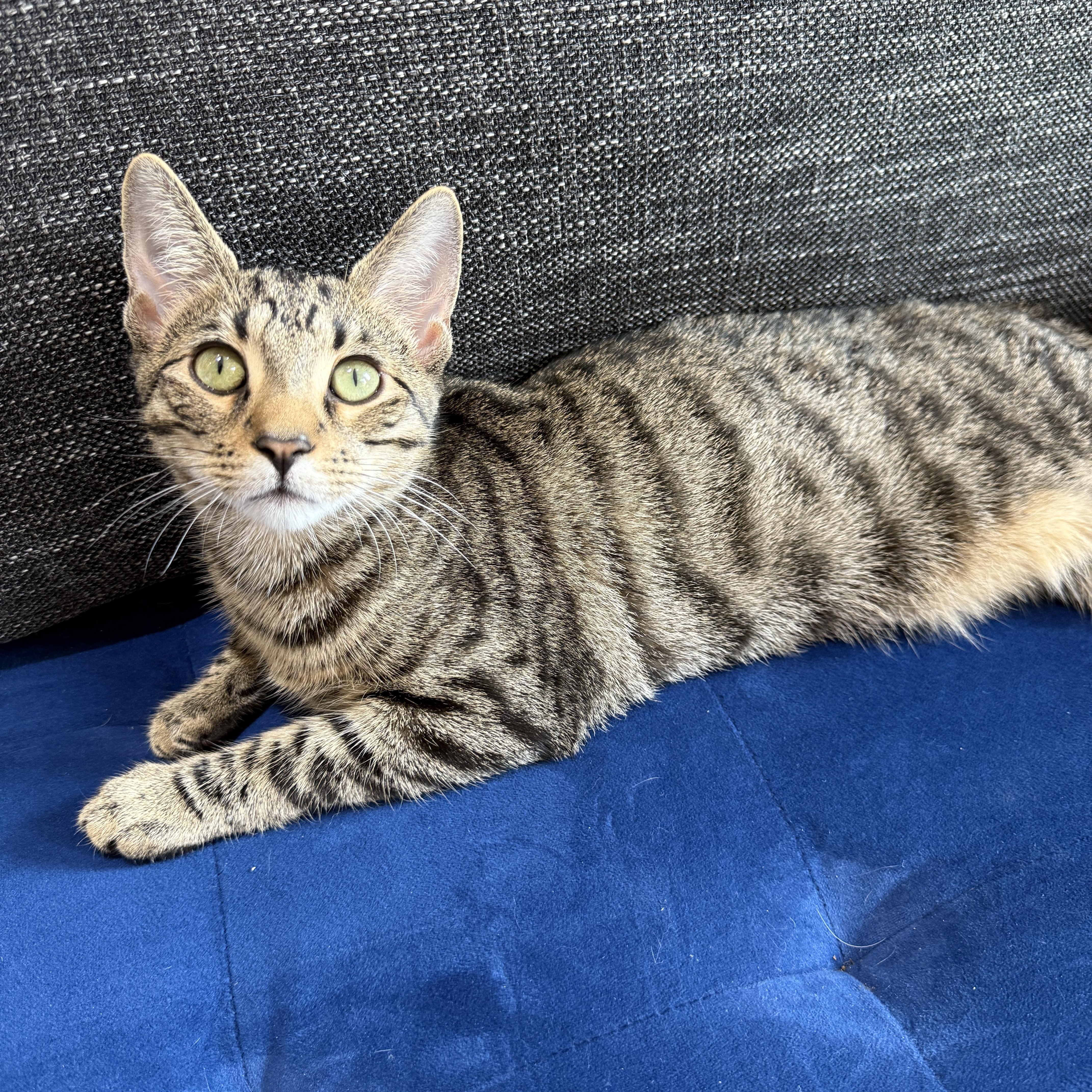 Curley And Larry thumbnail 5