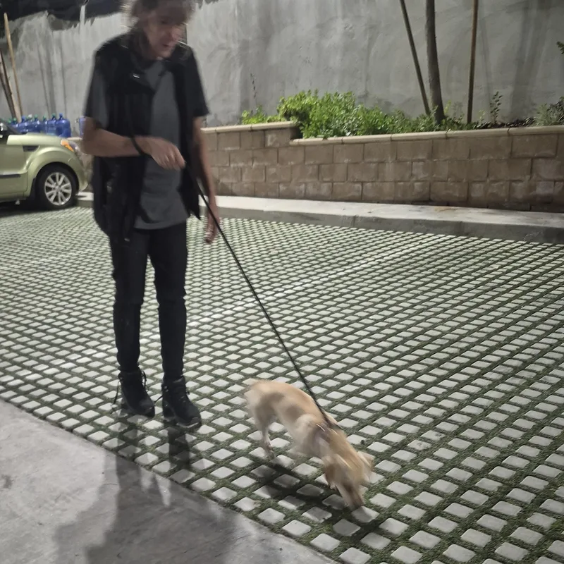 Rolo Lolo thumbnail 6