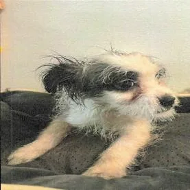 Walter A thumbnail 6