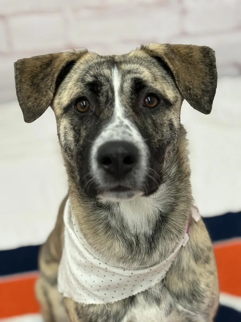 Marie Curie thumbnail 2