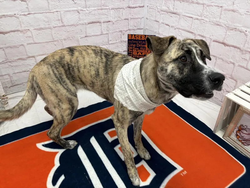 Marie Curie thumbnail 3