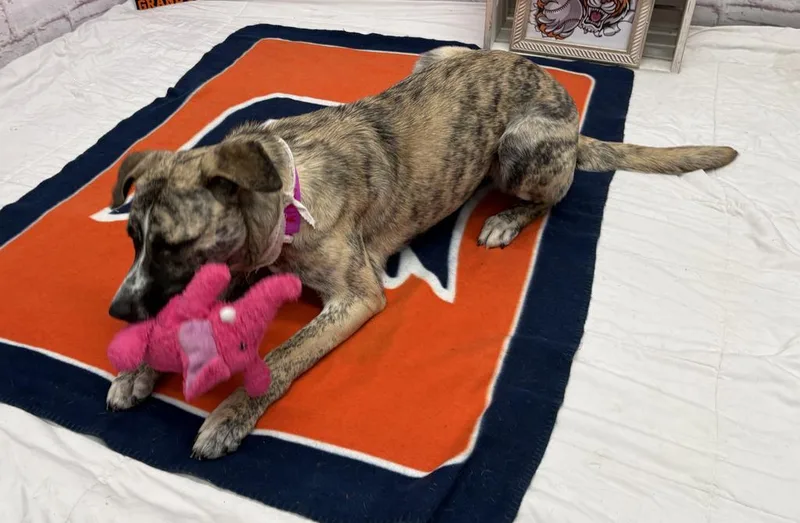 Marie Curie thumbnail 4