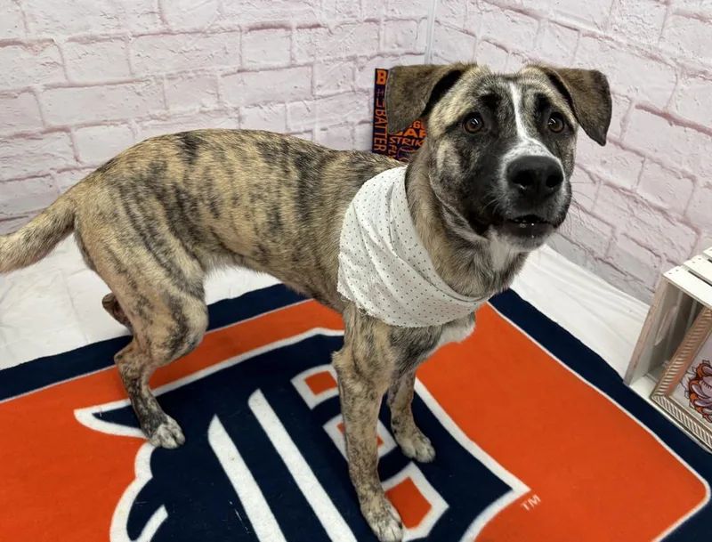 Marie Curie thumbnail 5