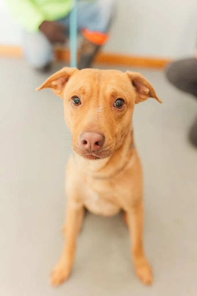 Little Man thumbnail 3