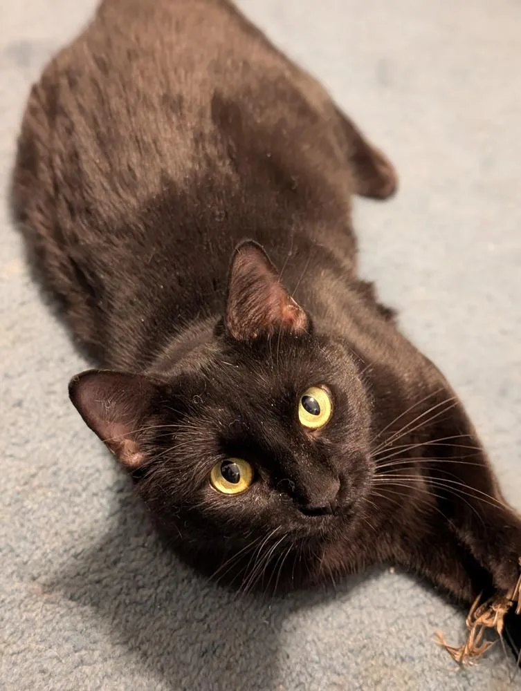 Mom Jeans thumbnail 3