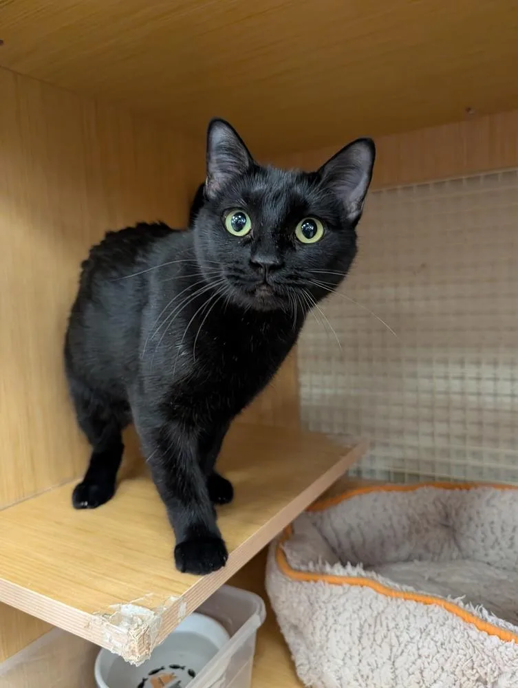 Mom Jeans thumbnail 6