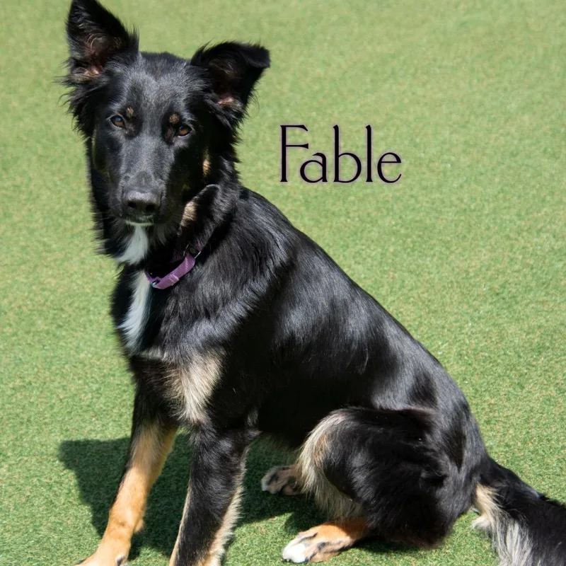 Fable