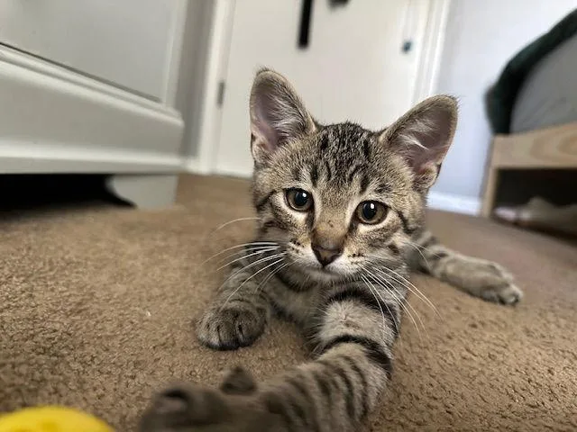 Norman Edwards thumbnail 2