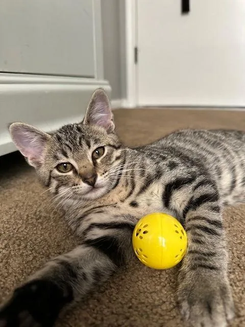 Norman Edwards thumbnail 3