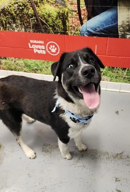 Kai Bonded With Tycho