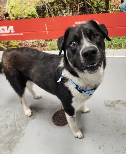 Kai Bonded With Tycho thumbnail 2